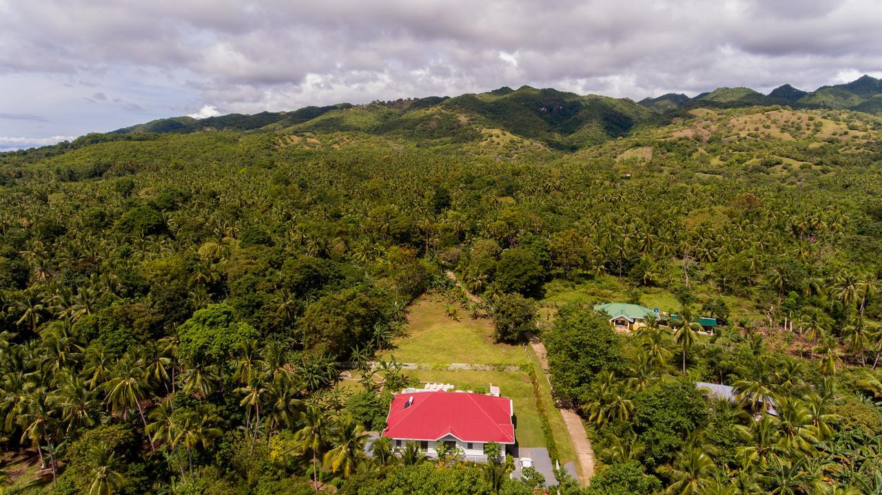 Bohol White House Bed & Breakfast Lila Bagian luar foto